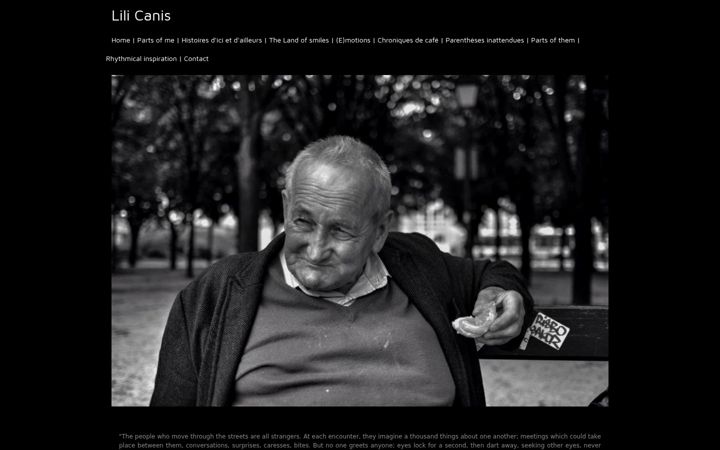 Screenshot of lilicanis.com