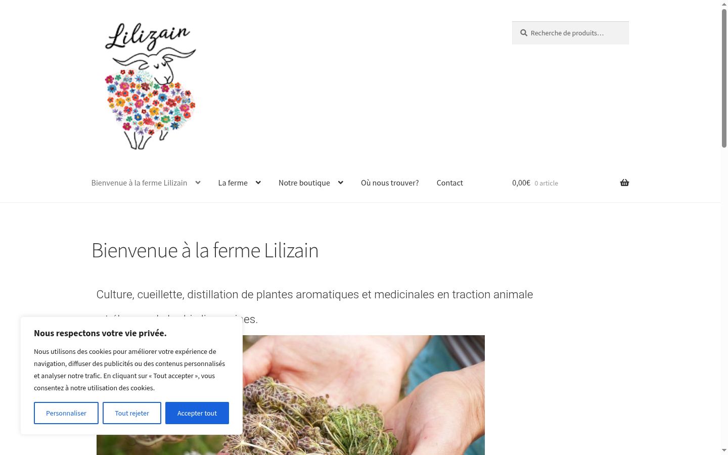 Screenshot del banner di consenso mostrato prima di qualsiasi interazione