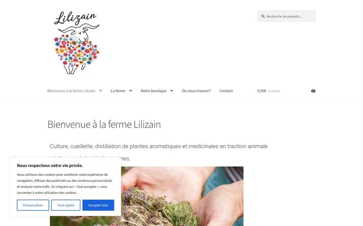 Screenshot of lilizain.fr