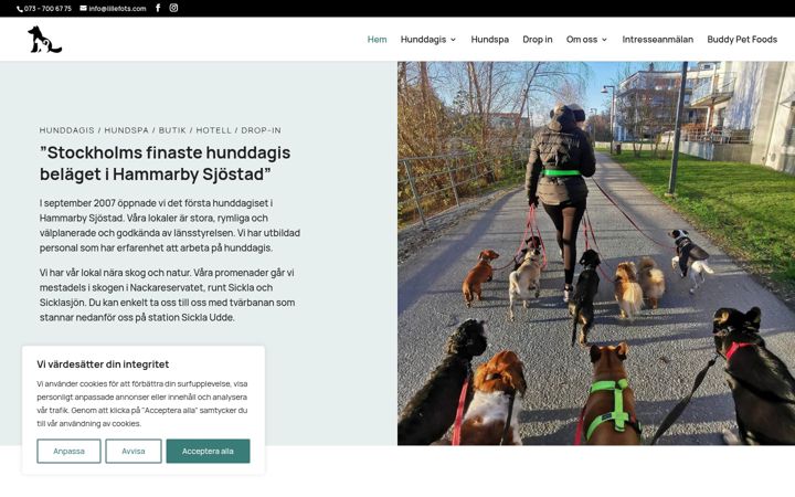 Screenshot of lillefots.com