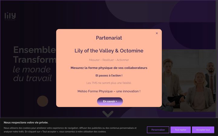 Screenshot of lily-ofthe-valley.com