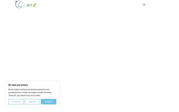 Screenshot of lime-dmc.com