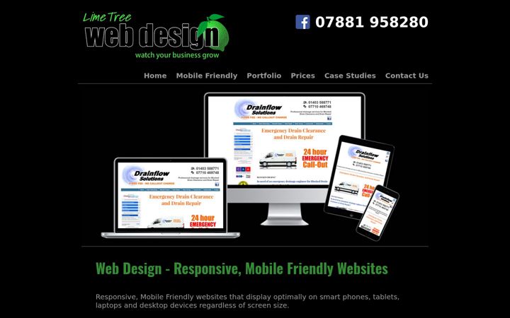 Screenshot of limetreewebdesign.co.uk