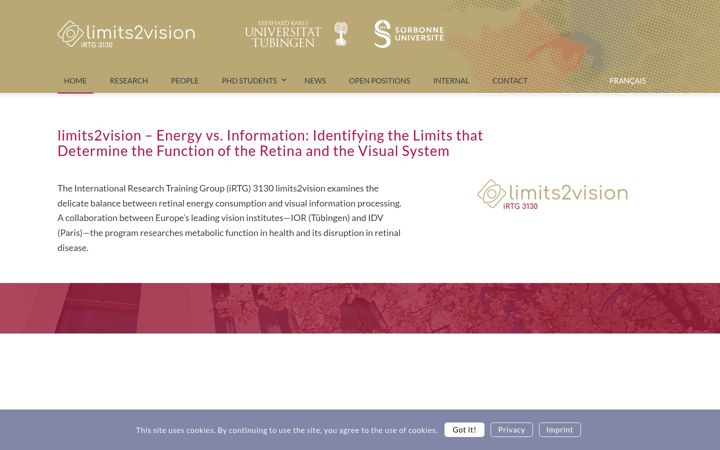 Screenshot of limits2vision.net