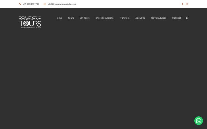Screenshot of limousineserviceinitaly.com
