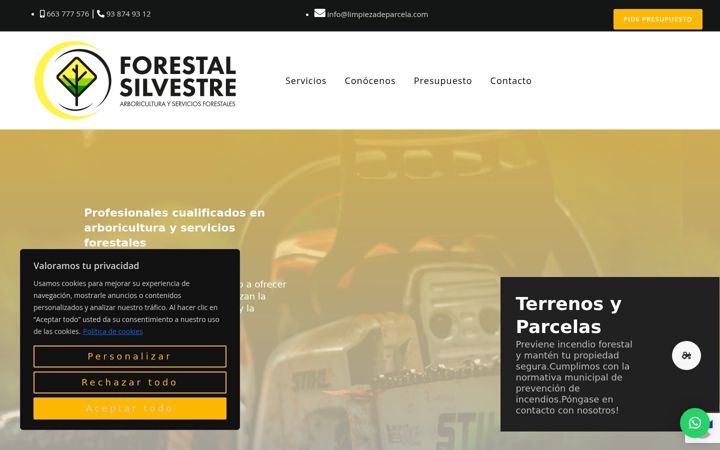 Screenshot of limpiezadeparcela.com