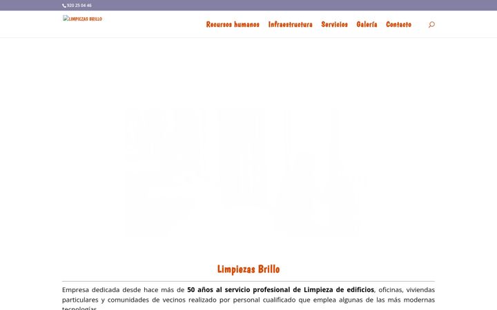 Screenshot of limpiezasbrillo.net