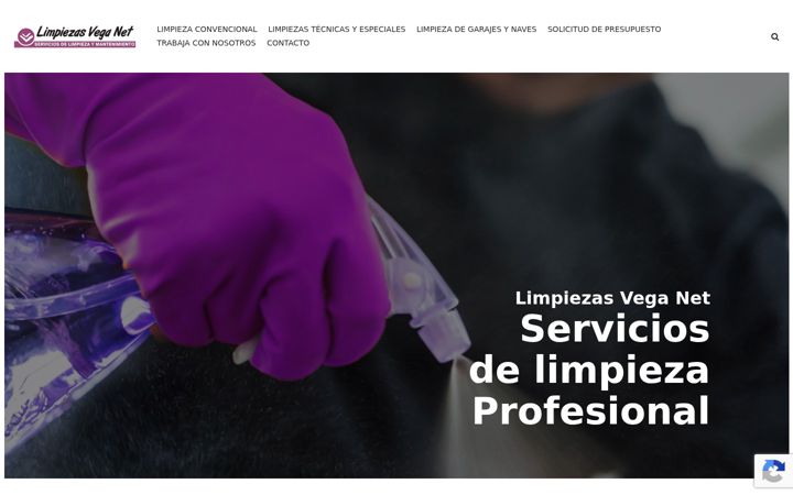 Screenshot of limpiezasvegabaja.com