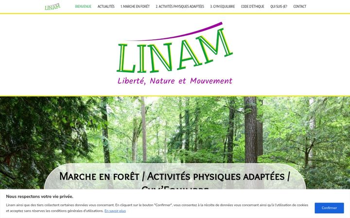 Screenshot of linam.ch