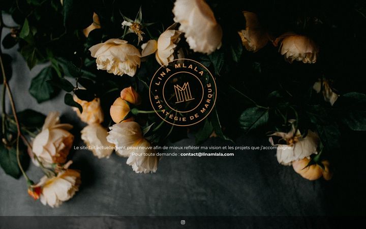 Screenshot of linamlala.com