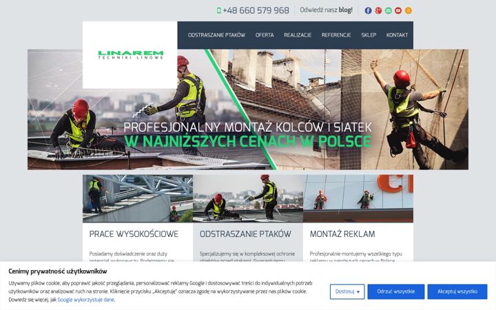 Screenshot of linarem.pl