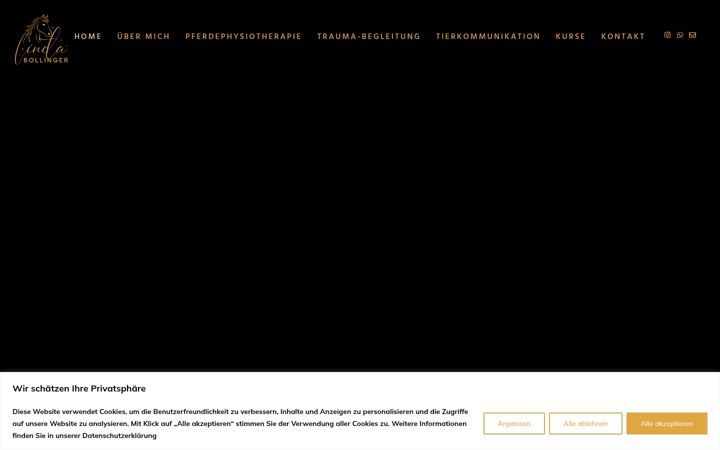 Screenshot of lindabollinger.de