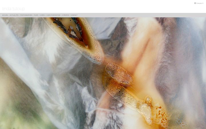Screenshot of lindatuloup.fr