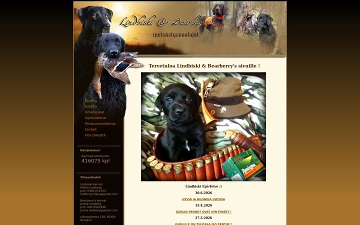 Screenshot of lindbiski.com