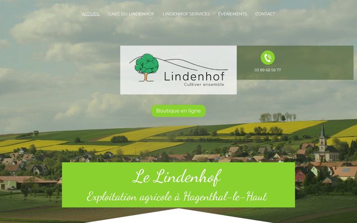 Screenshot of lindenhof.fr