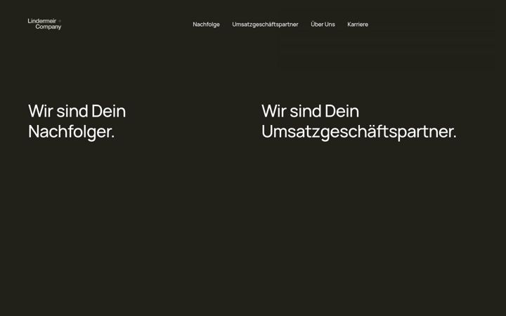 Screenshot of lindermeirandcompany.com