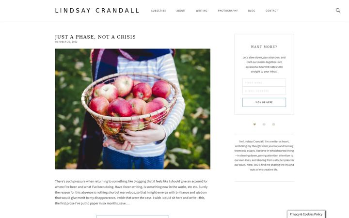 Screenshot of lindsaycrandall.com