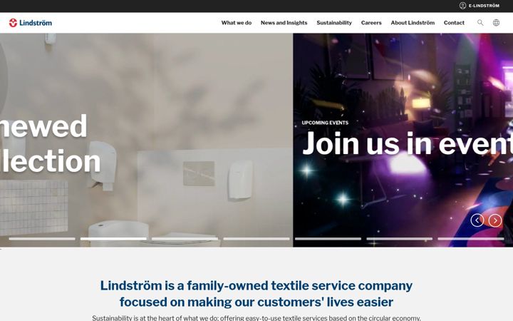 Screenshot of lindstromgroup.com
