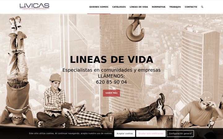Screenshot of lineasdevidacastellanas.com