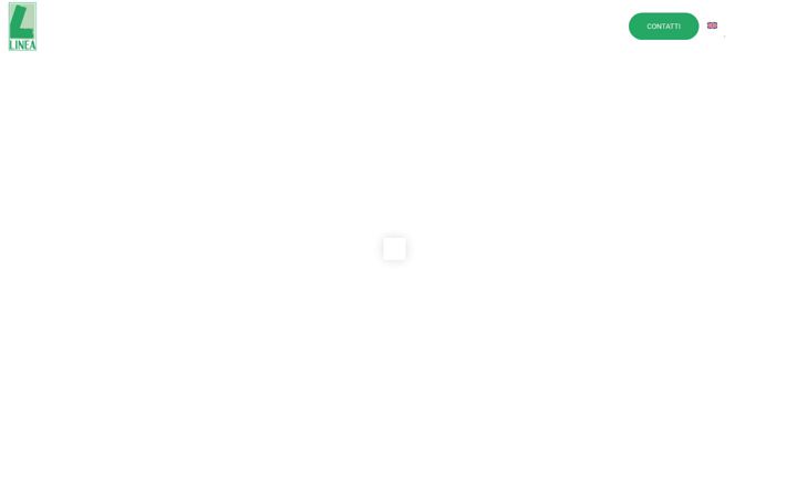 lineasrl.com