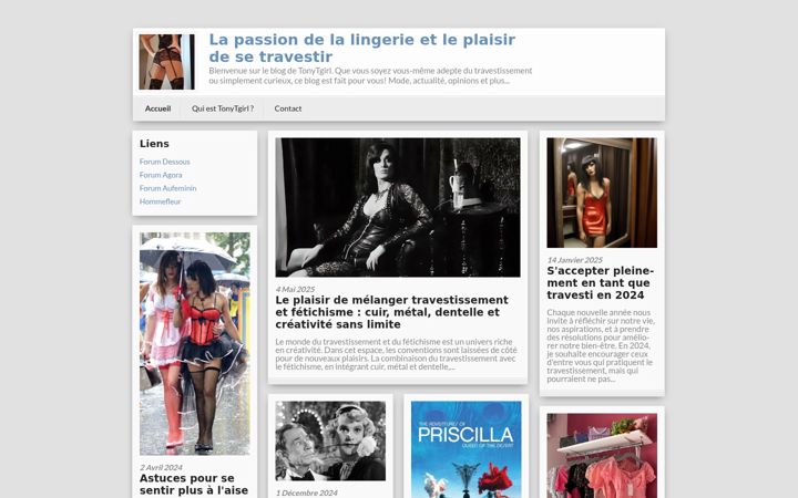 Screenshot of lingeriehomme.org