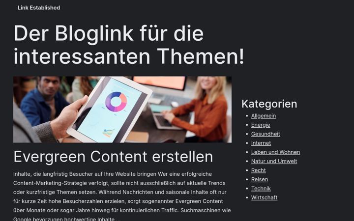 Screenshot of link-established.de