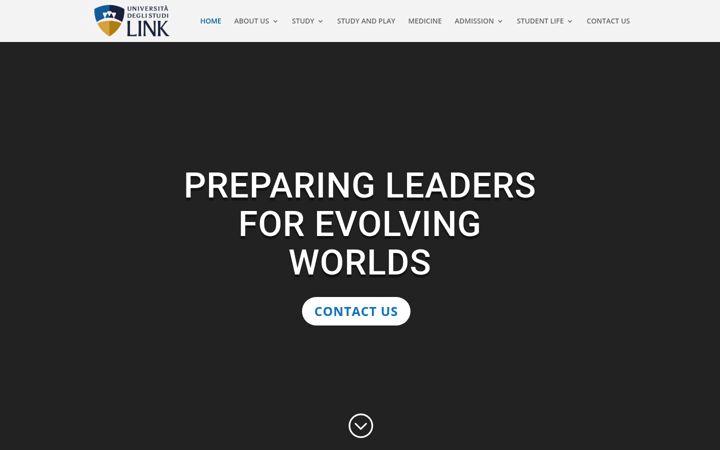 Screenshot of linkinternational.eu