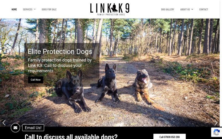 Screenshot of linkk9.com