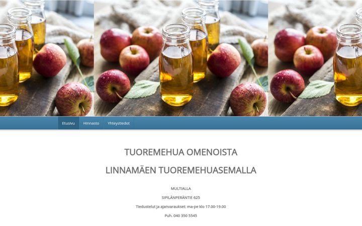 Screenshot of linnamaentuoremehuasema.com