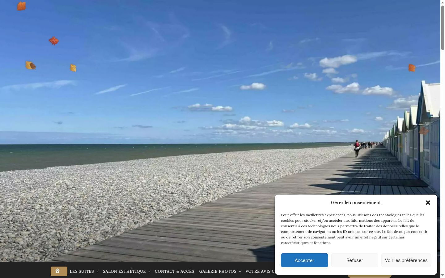 Sutikimo reklamjuostės, rodytos prieš bet kokią sąveiką, ekrano kopija