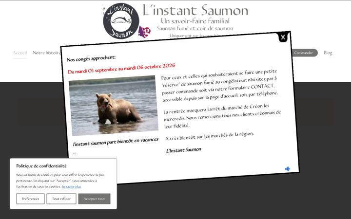 Screenshot of linstantsaumon.com