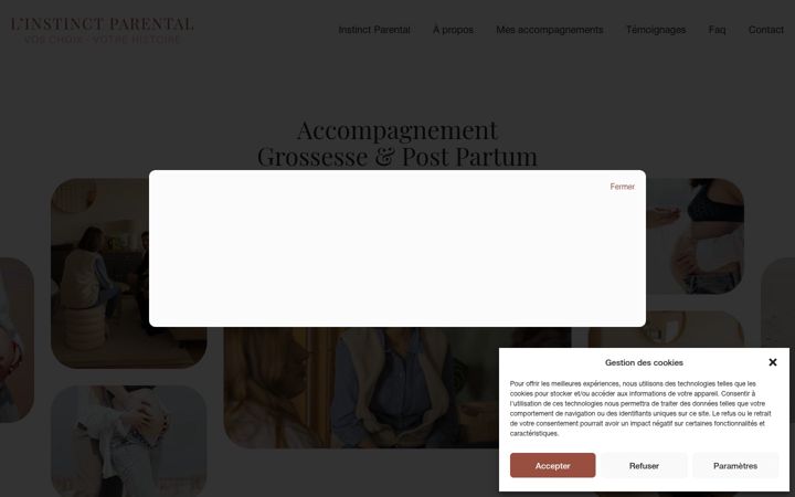 Screenshot of linstinctparental.fr