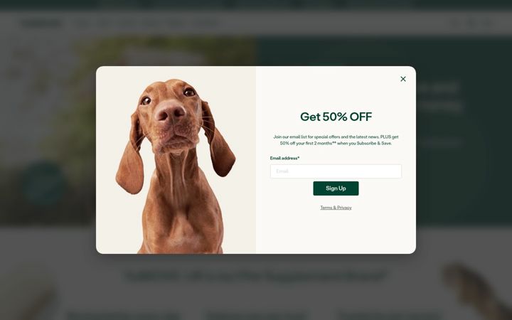 Screenshot of lintbells.com