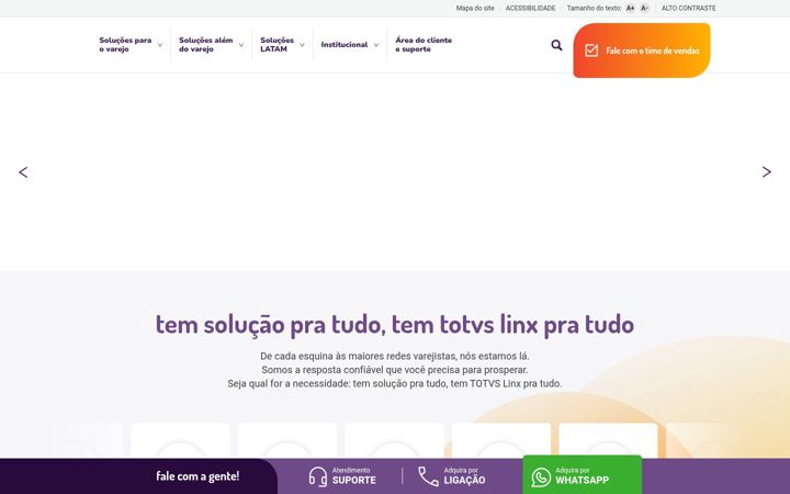 Zrzut ekranu linx.com.br