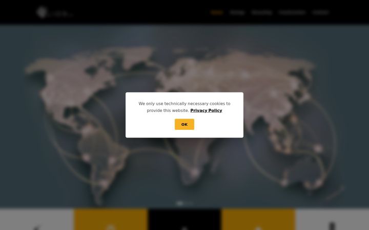 Screenshot of lion-companies.com