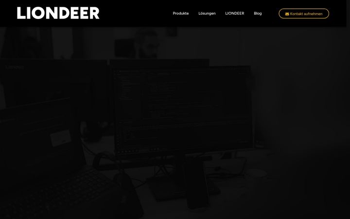 Screenshot of liondeer.de