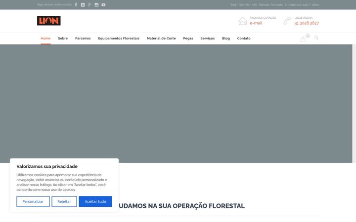 Screenshot of lionequipamentos.com.br