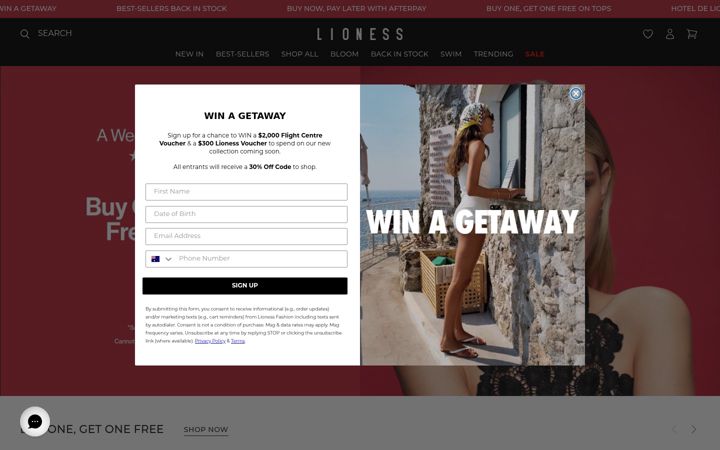 Screenshot of lionessfashion.com