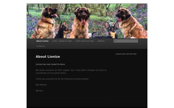 Screenshot of lionize.co.uk