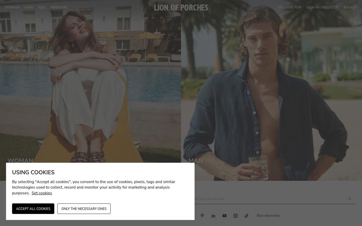 Screenshot of lionofporches.com