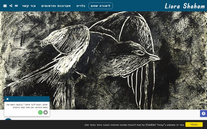 Screenshot of liorashaham.com