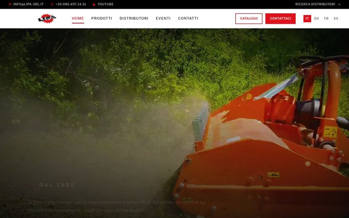 Screenshot of lipa-srl.it
