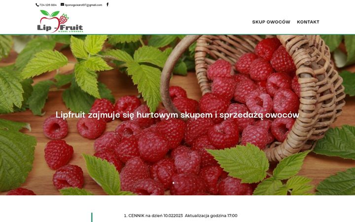 Screenshot of lipfruit-skupyowocow.pl