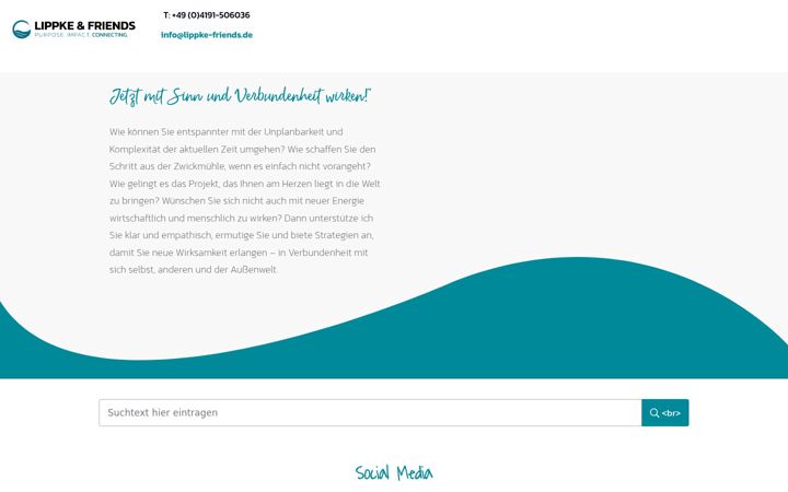 Screenshot of lippke-friends.de