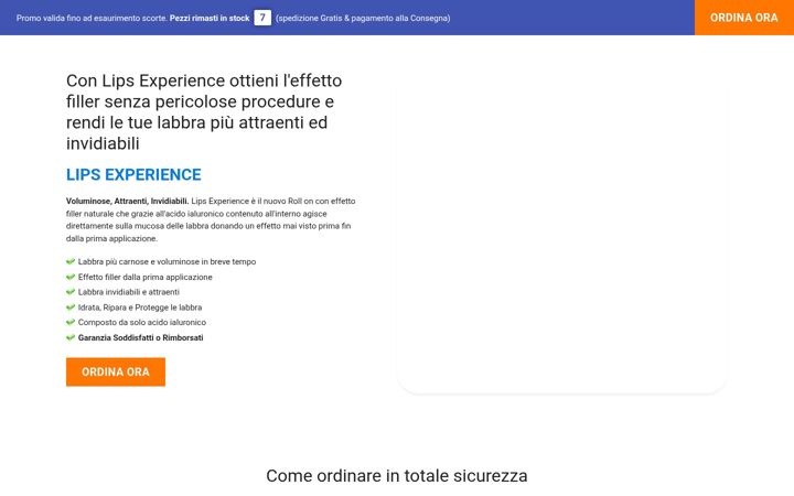 Screenshot of lipsexperience.com
