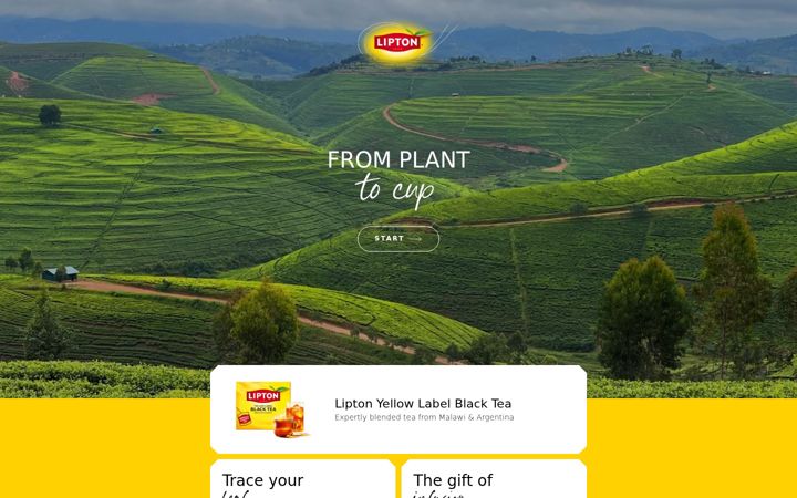 Screenshot of liptonteajourney.com