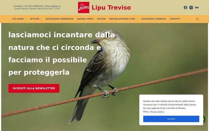 Screenshot of liputreviso.it