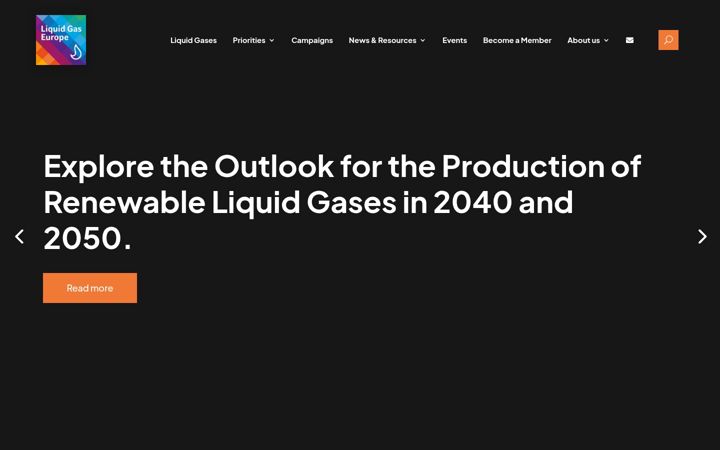 Screenshot of liquidgaseurope.eu
