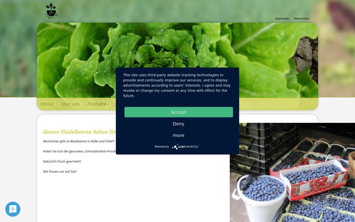 Screenshot of lirsch.de