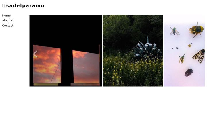 Screenshot of lisadelparamo.com